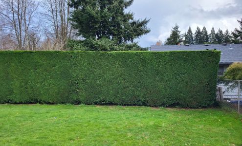 Antonio Urzua Landscape Maintenance