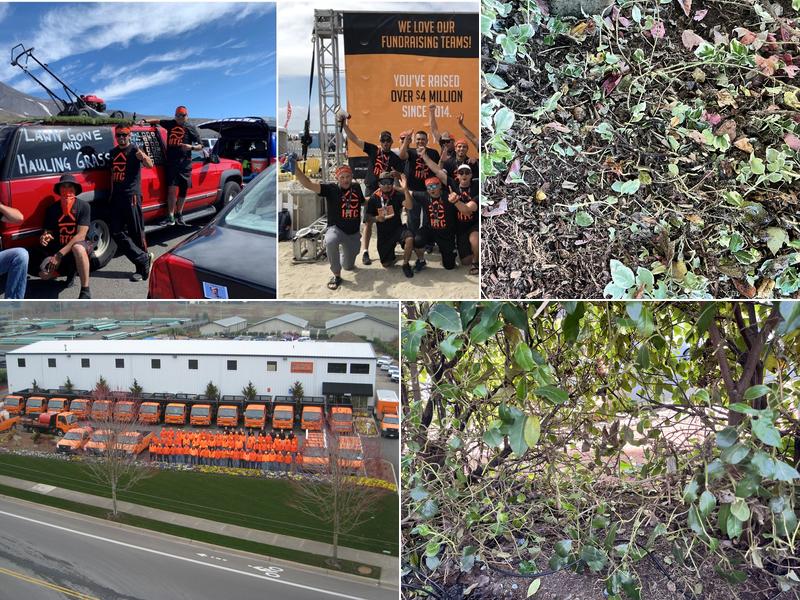 Pacific Landscape Management