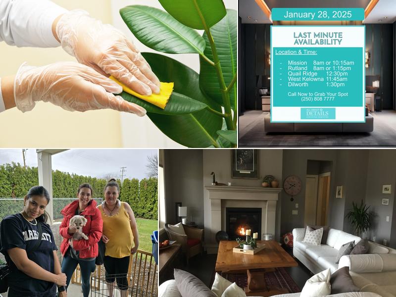 All About Details Cleaning Services