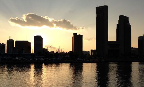 Coldwell Banker Pacesetter Steel, Realtors