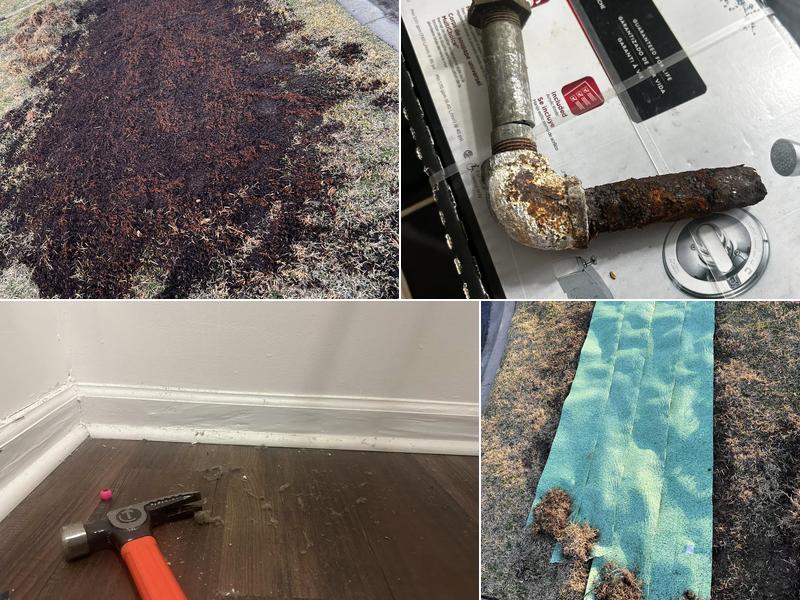 Mr. King's handyman service