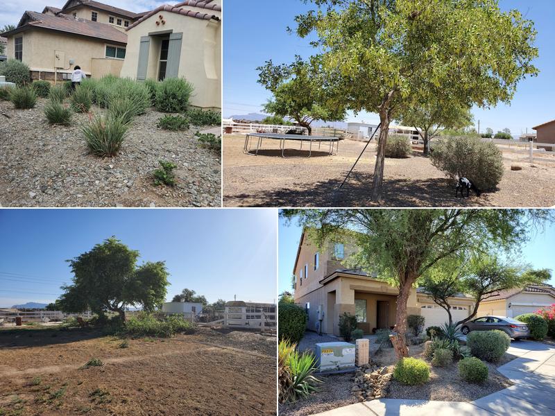 RustoMod Landscaping LLC