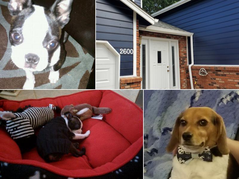 Neltel Computer Consulting