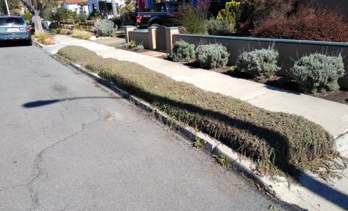 Torres Landscape Services