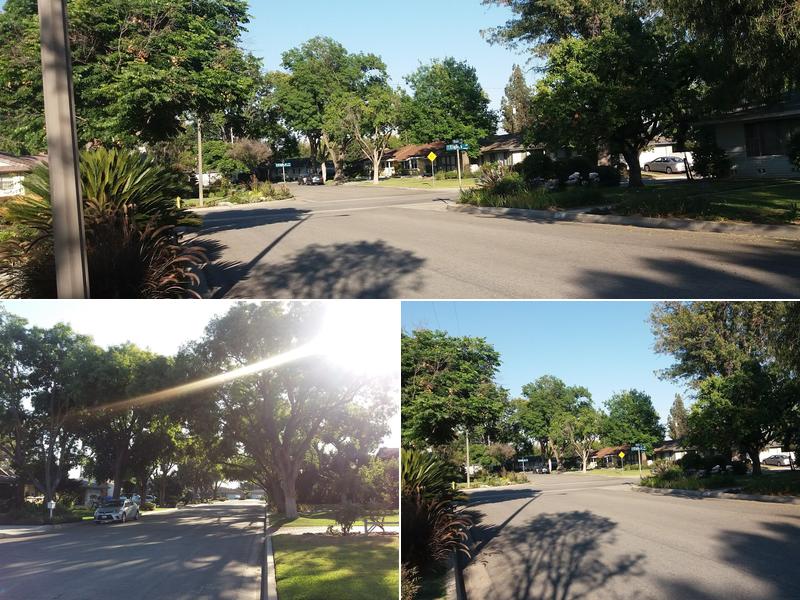 Good View Landscape Design