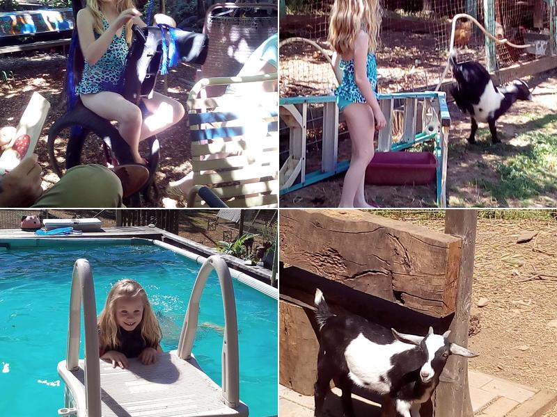 Down To Earth Landscaping