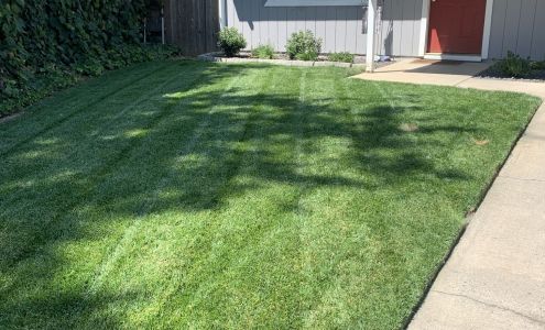 Redi-Green Sod Farm Sloughhouse