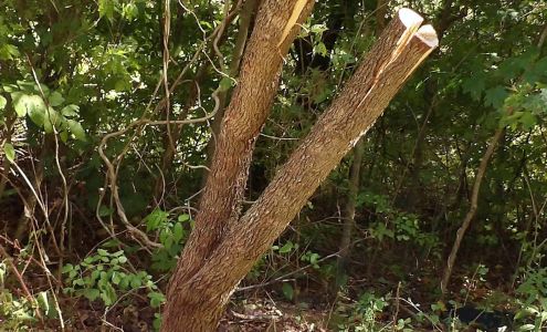 Caney Fork Electric Co-Op Inc McMinnville