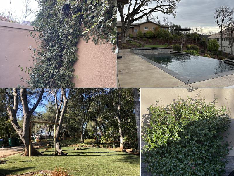 Green Hills Landscaping