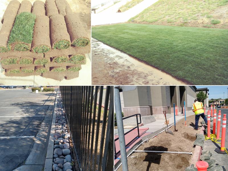 Leafwise Landscape LLC