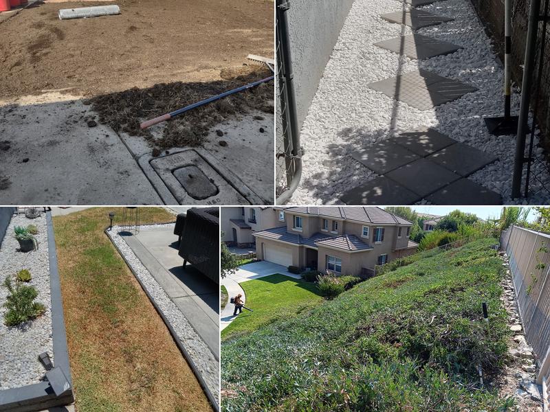 Martinez landscape Gardener