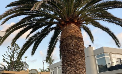 A.L. Landscape Services 1095 Regal Rd, Encinitas California 92024