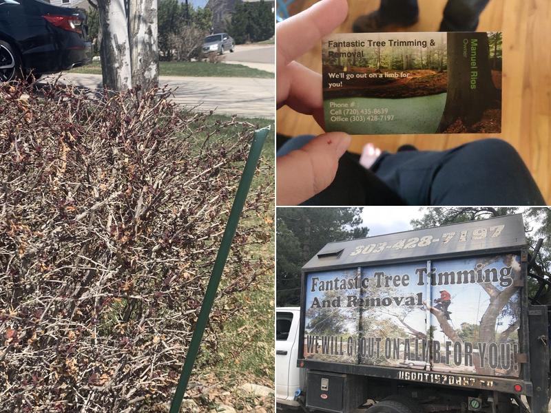 Fantastic Tree Trimming Broomfield