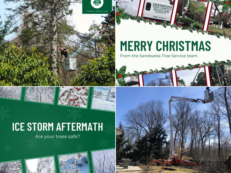 Sandweiss Tree Service, Inc.