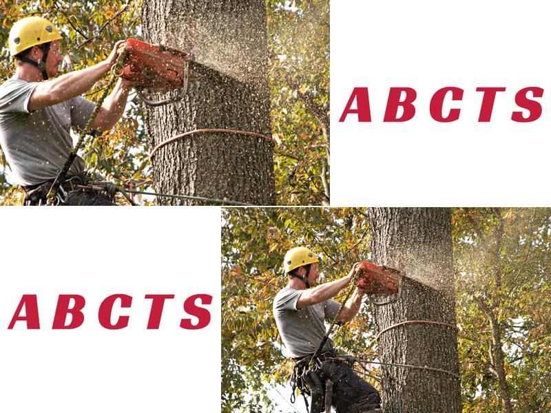 A Better Cut Tree Services, LLC
