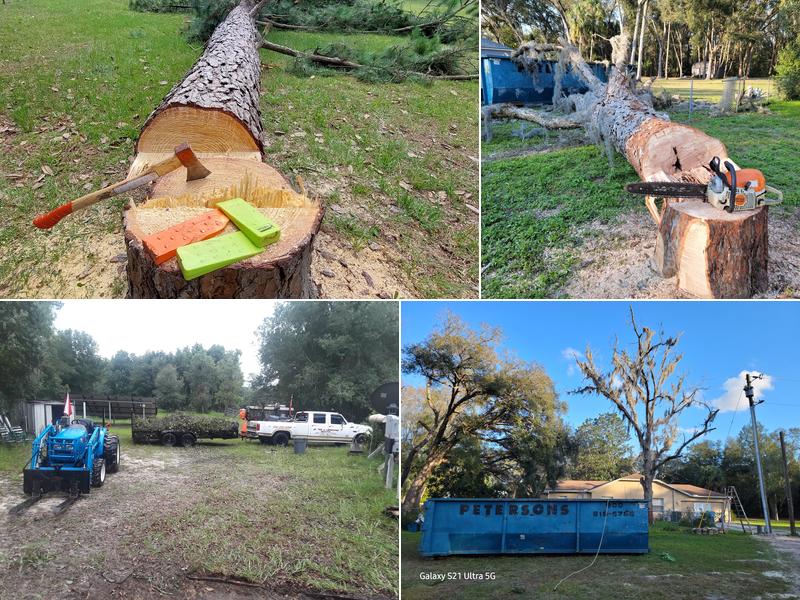 J&T Tree Service LLC