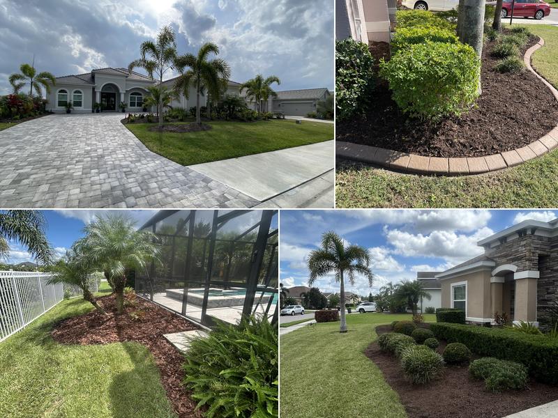 Newscape Lawn Care and Landscaping LLC