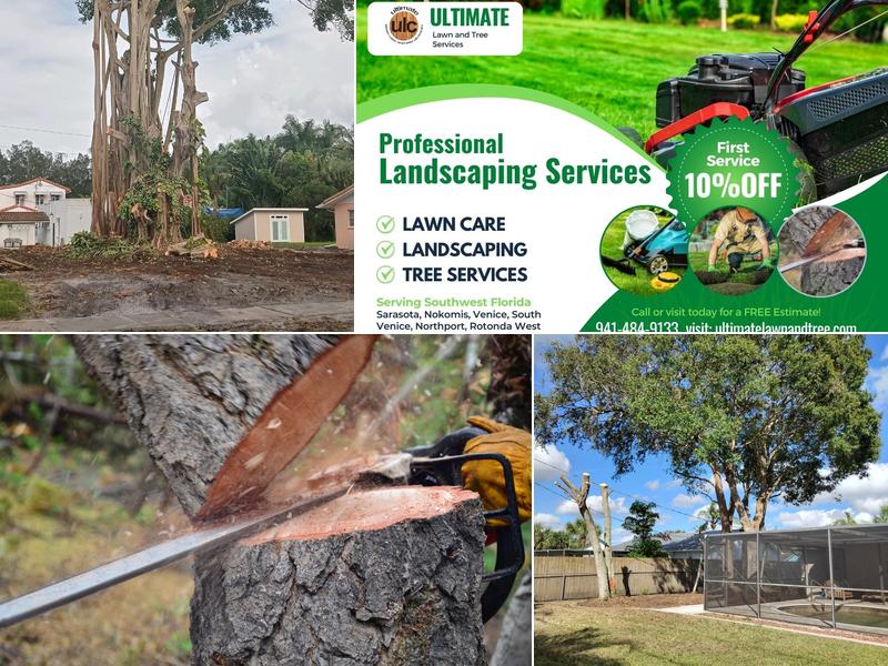 Ultimate Lawn Care and Tree