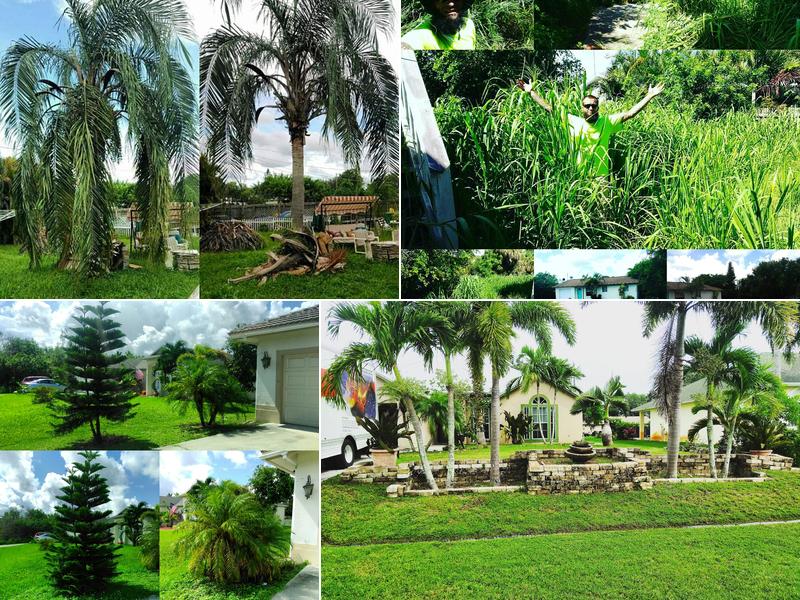 Justin Toney Lawn Care