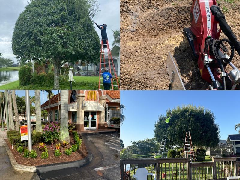 M.J Landscaping & Lawn maintenance LLC