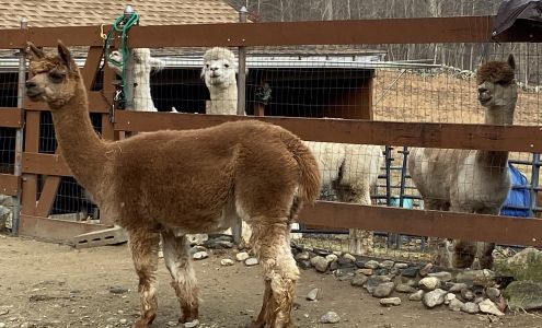 Stone Bridge Farm Jewett City