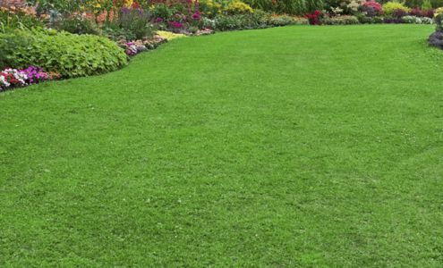 Carson’s Lawn Care & Property Maintenance