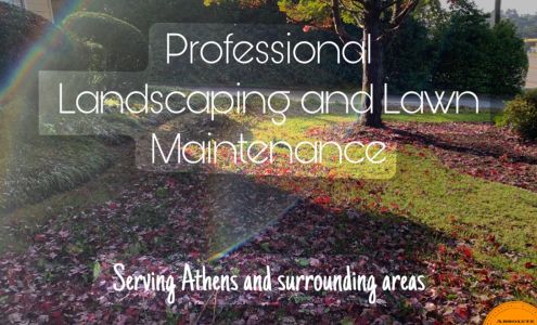 Absolute Lawn Maintenance