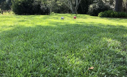 True Care Complete Landscapes