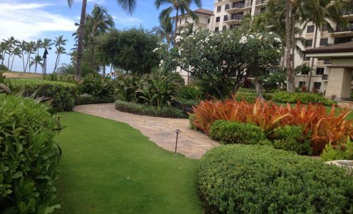 Performance Landscapes