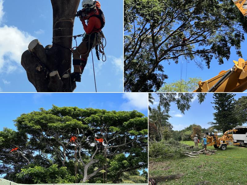 Kokua Tree Care