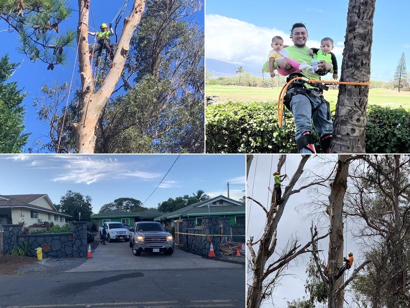 Pua Ohana Tree Trimming