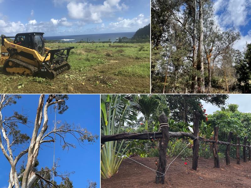 Hawaii Vegetation Control LLC