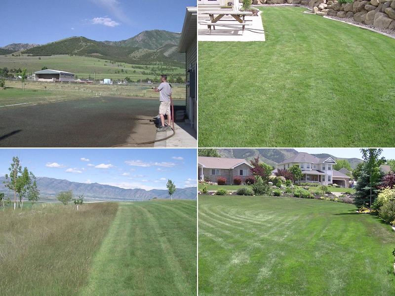 Green Gro Hydroseeding