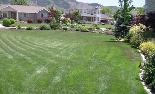 Green Gro Hydroseeding