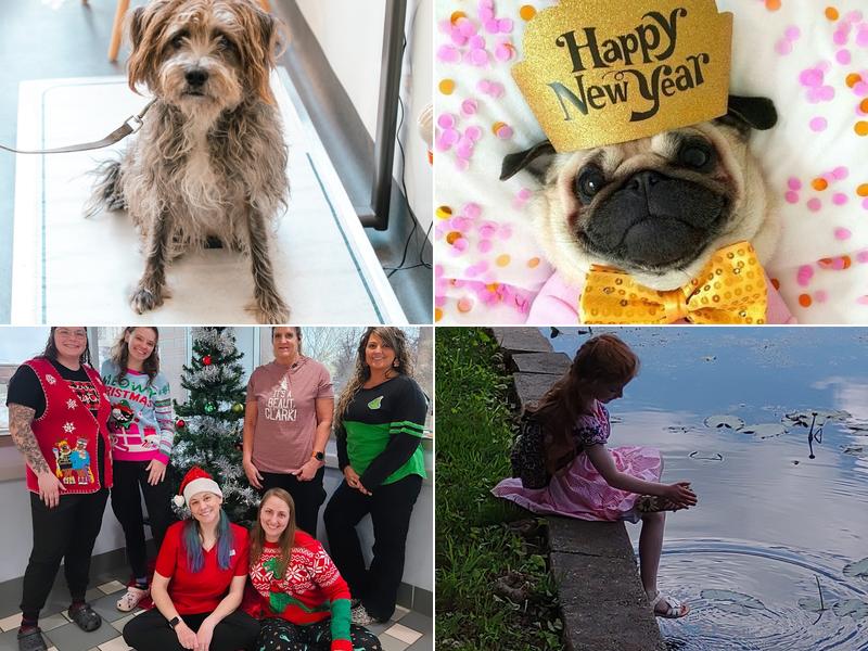 BPVH Clinical Trials