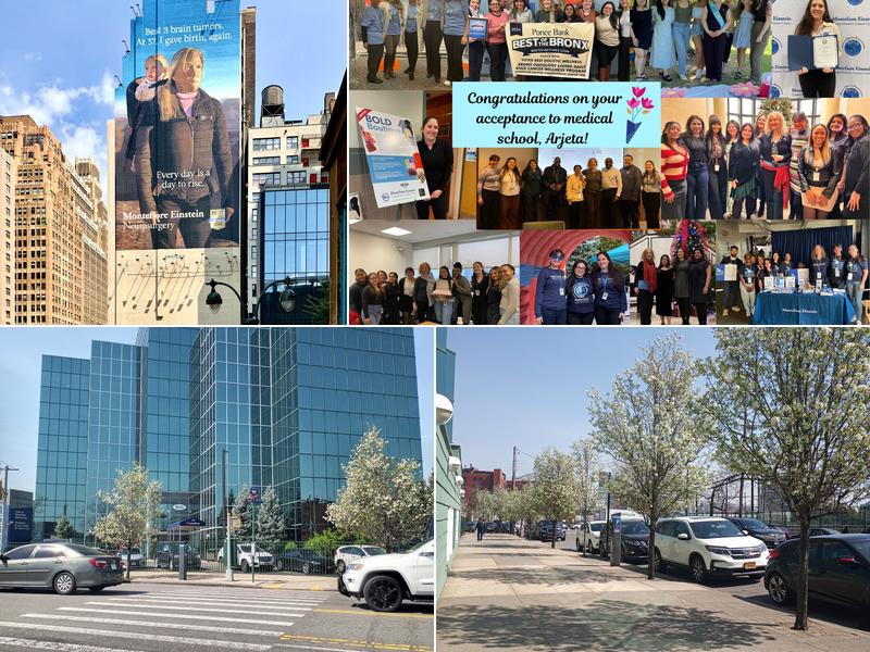 Montefiore Einstein Comprehensive Cancer Center