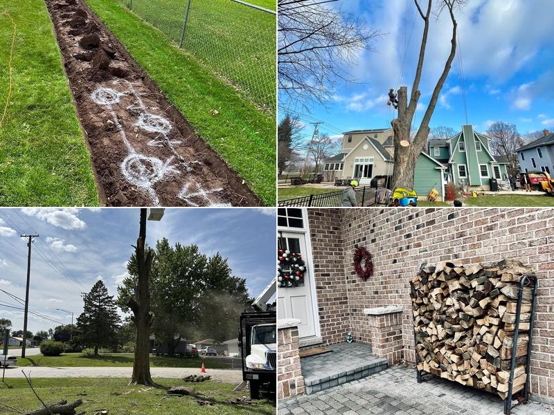 Sticks N Chips Tree Experts and Landscaping Inc