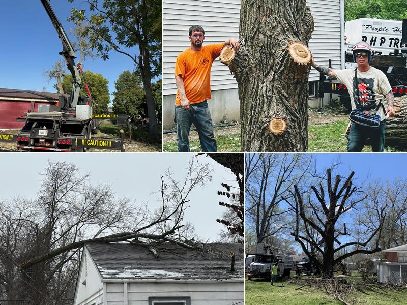 PHP Tree Service