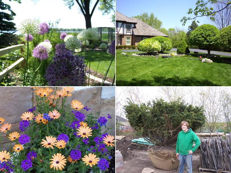 WENDT Maintenance, Inc.