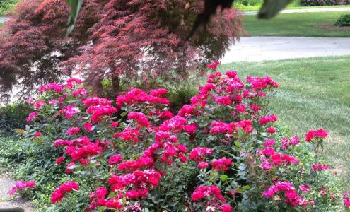 Sarah's Landscaping, Inc.