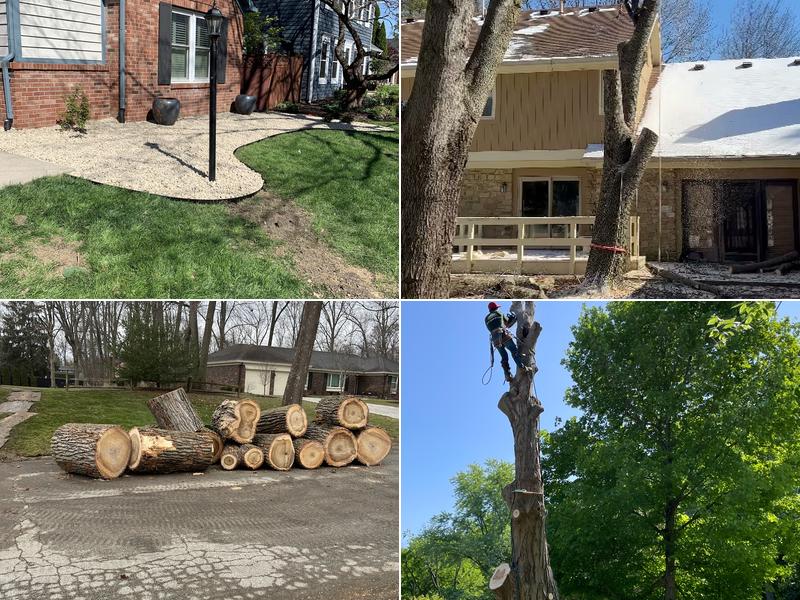 Anthony’s Tree Service & Landscape