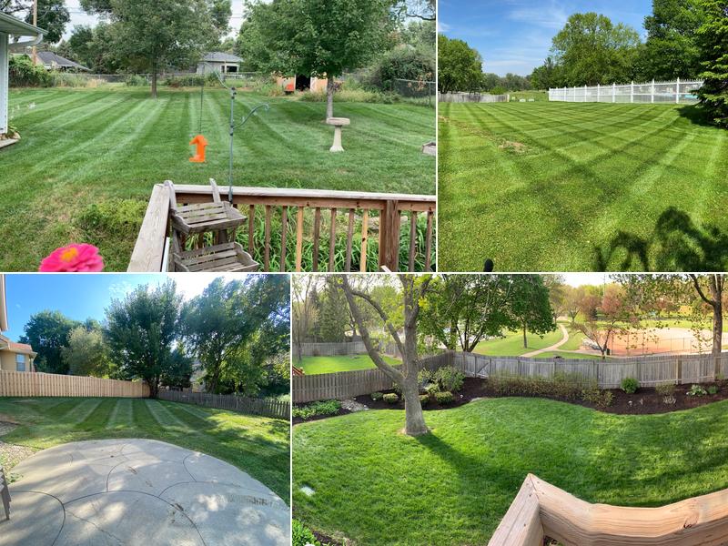 TJ's Lawn Maintenance