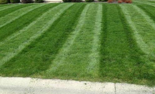 Procutters Lawn and Landscape LLC