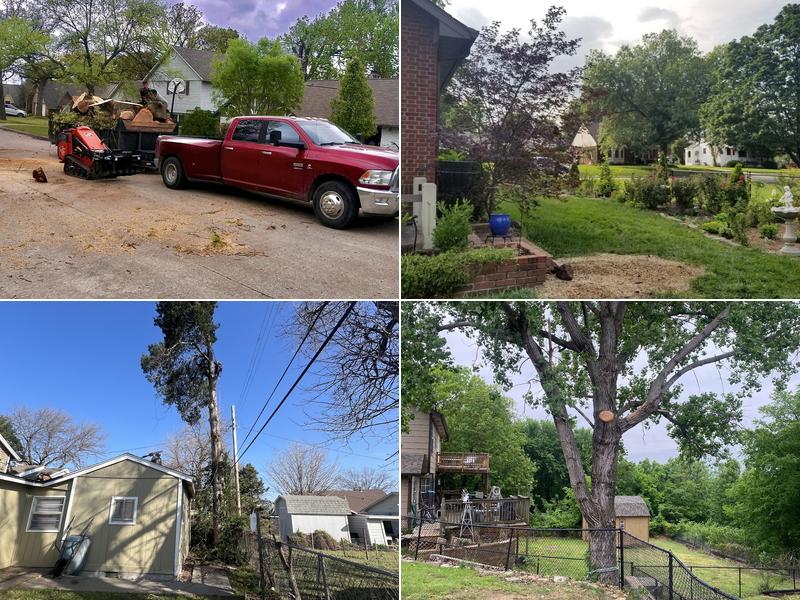 Tony's Tree Service LLC
