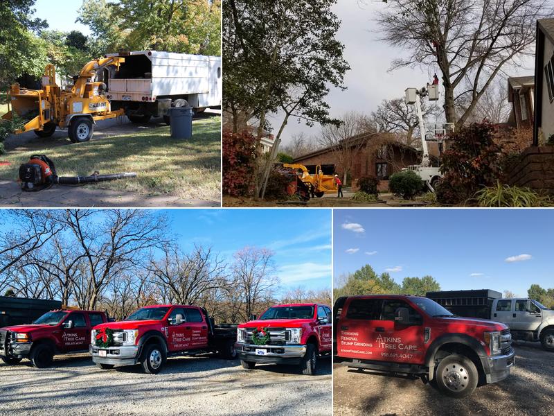 Atkins Tree Care