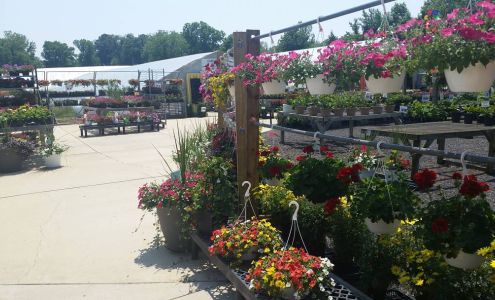 Cardinal Creek Plant Farm Inc Prince Frederick