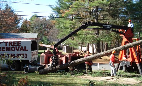 South Shore Tree Removal Inc. Plymouth