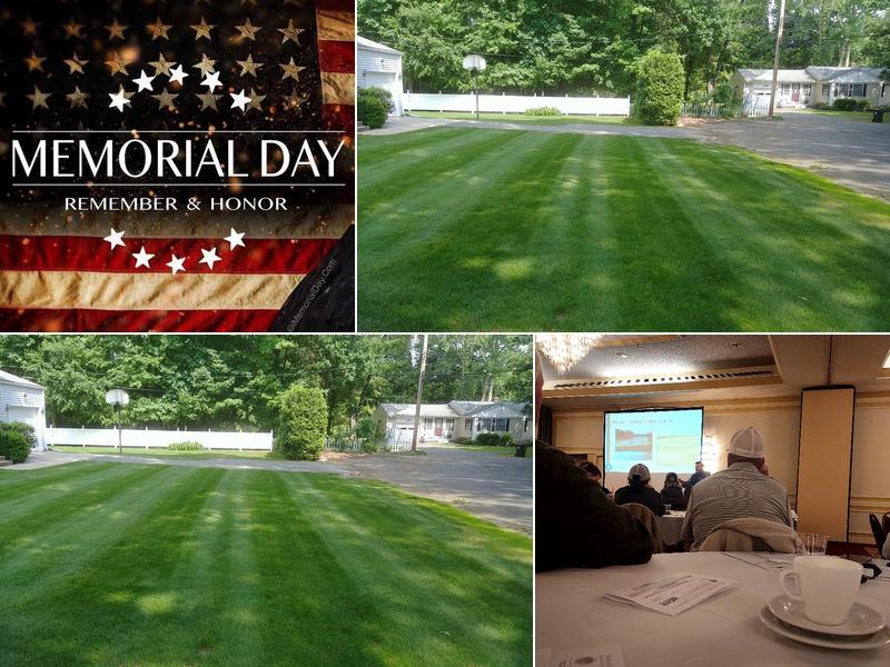 C Valley Landscaping