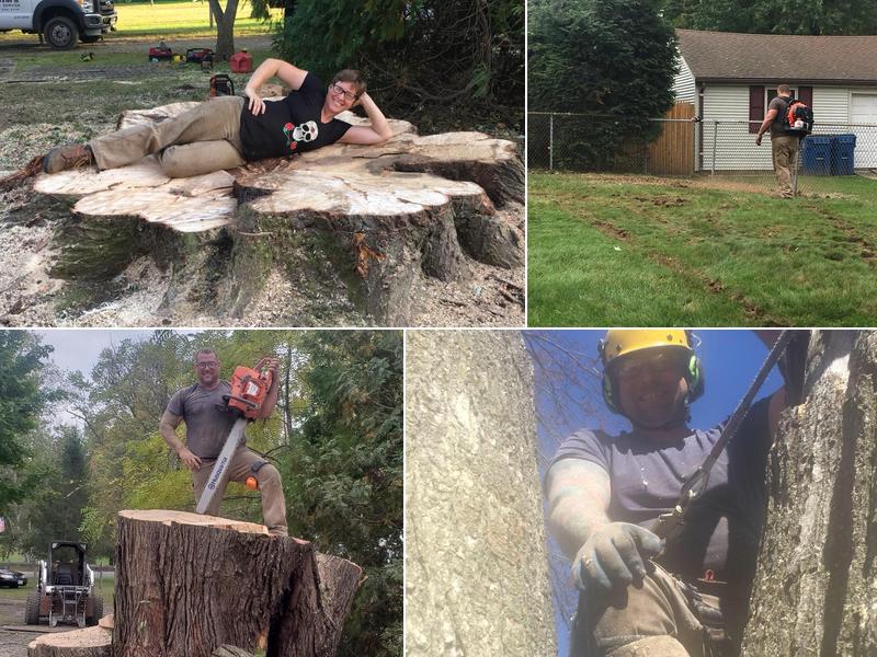 Tim's Tree Services Inc