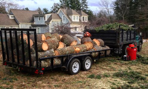 Philbrooks Tree Service 567 Spring St, Hanson Massachusetts 02341